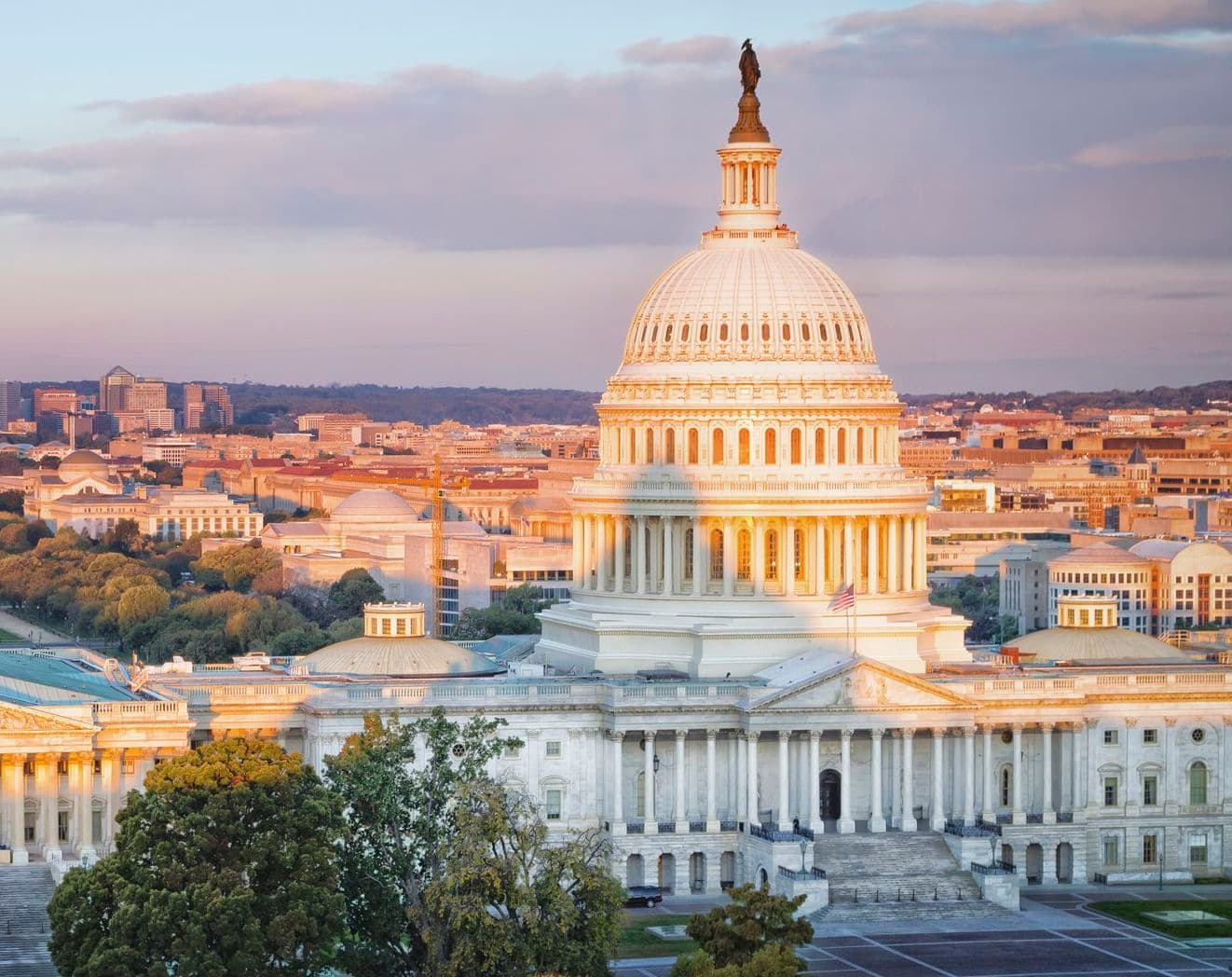 Washington D.C.